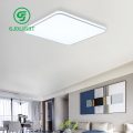 Living room ceiling light