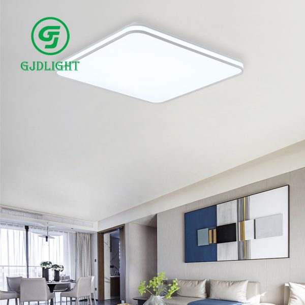Living room ceiling light